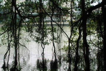 hanoi