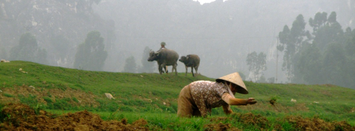 Kenh Ga, village flottant