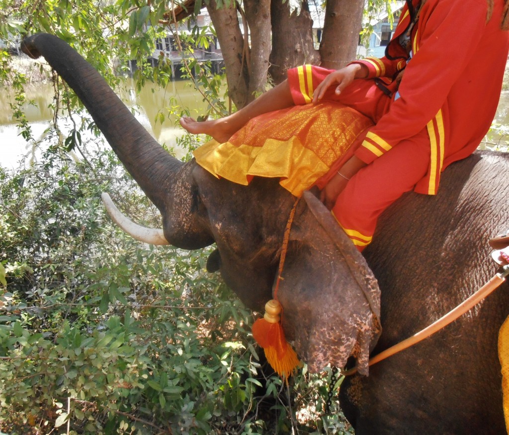 Ayutthaya Bangkok