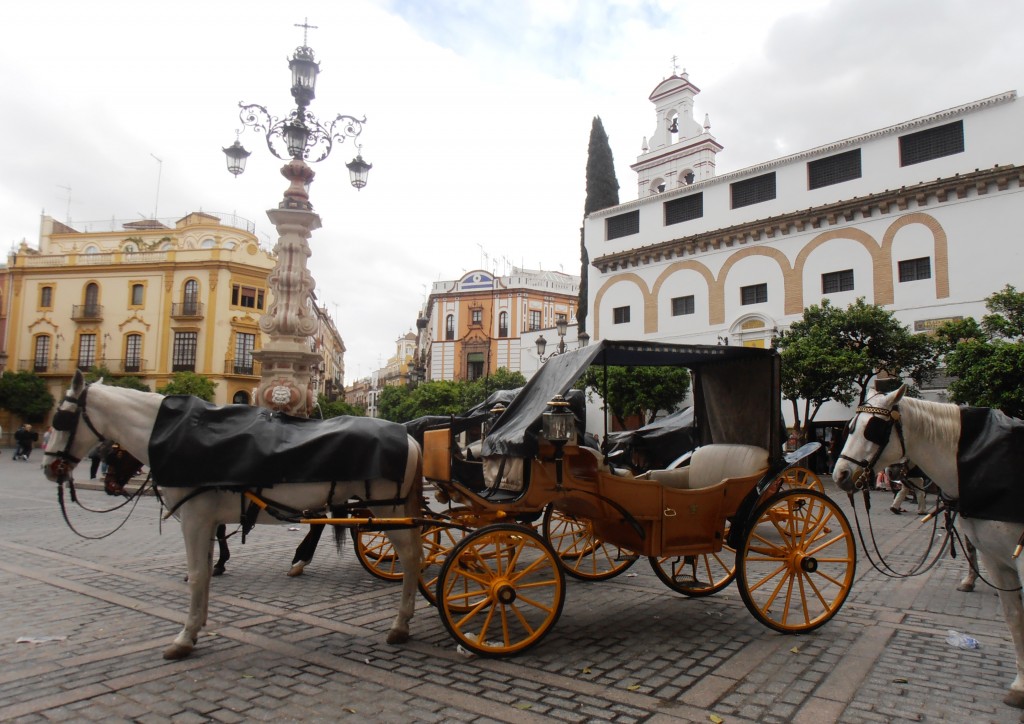 plaza virgen de los reyes