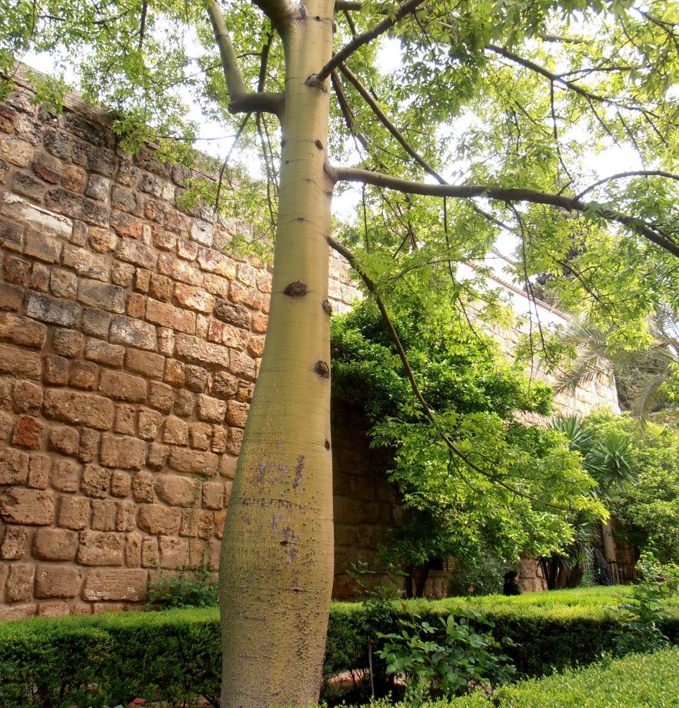 alcazar seville