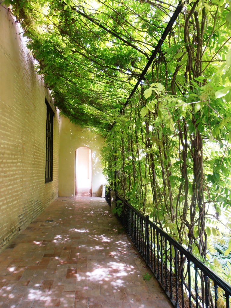 Alcazar seville