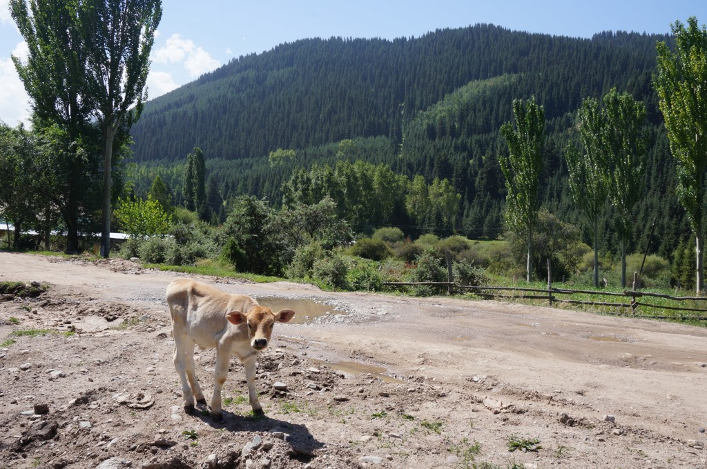 Vallée de Karakol