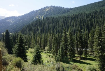 Karakol