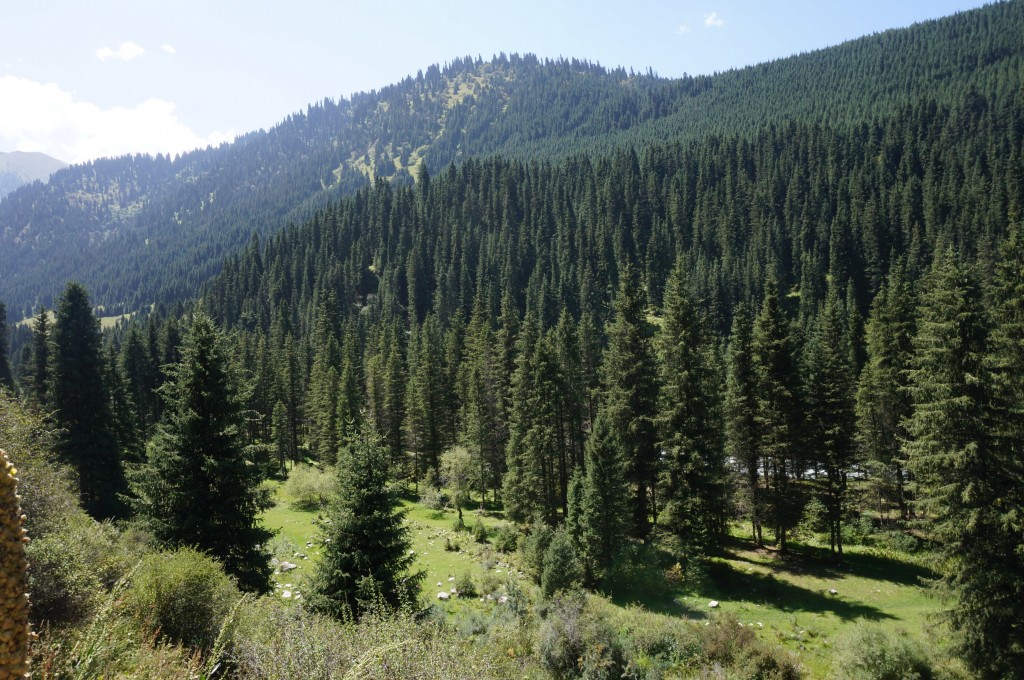 Vallée de Karakol
