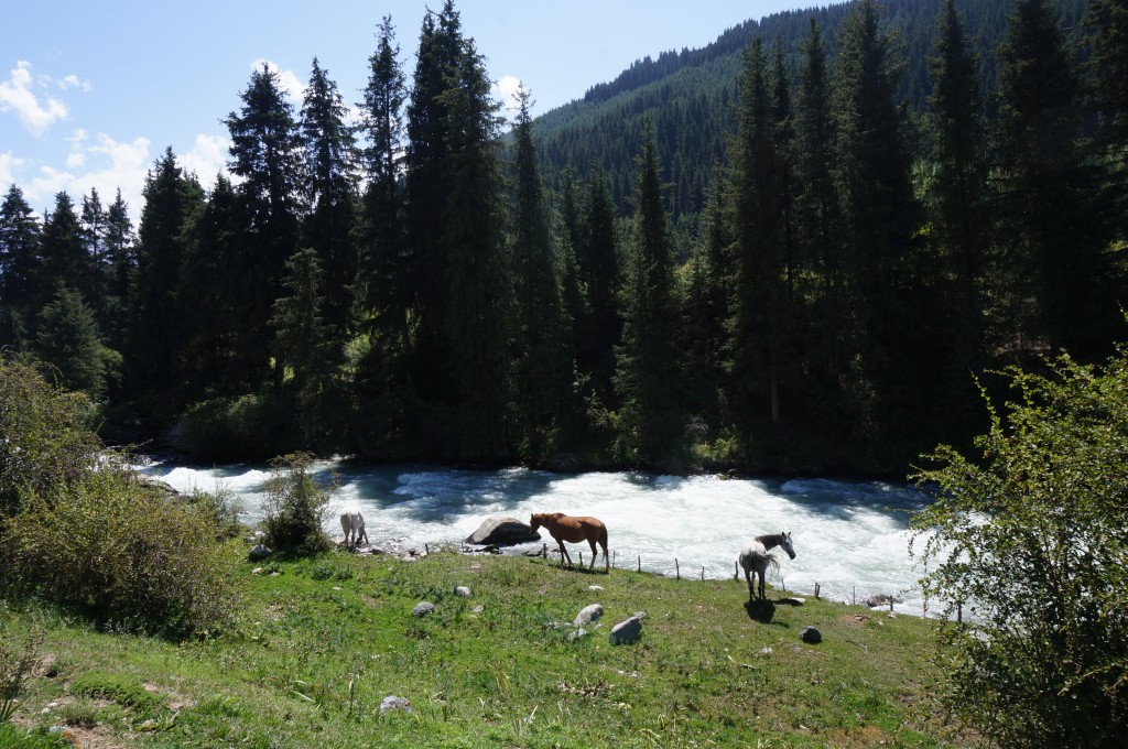 Vallée de Karakol