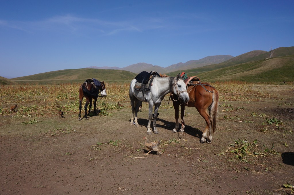 Kirghizistan lac song kul