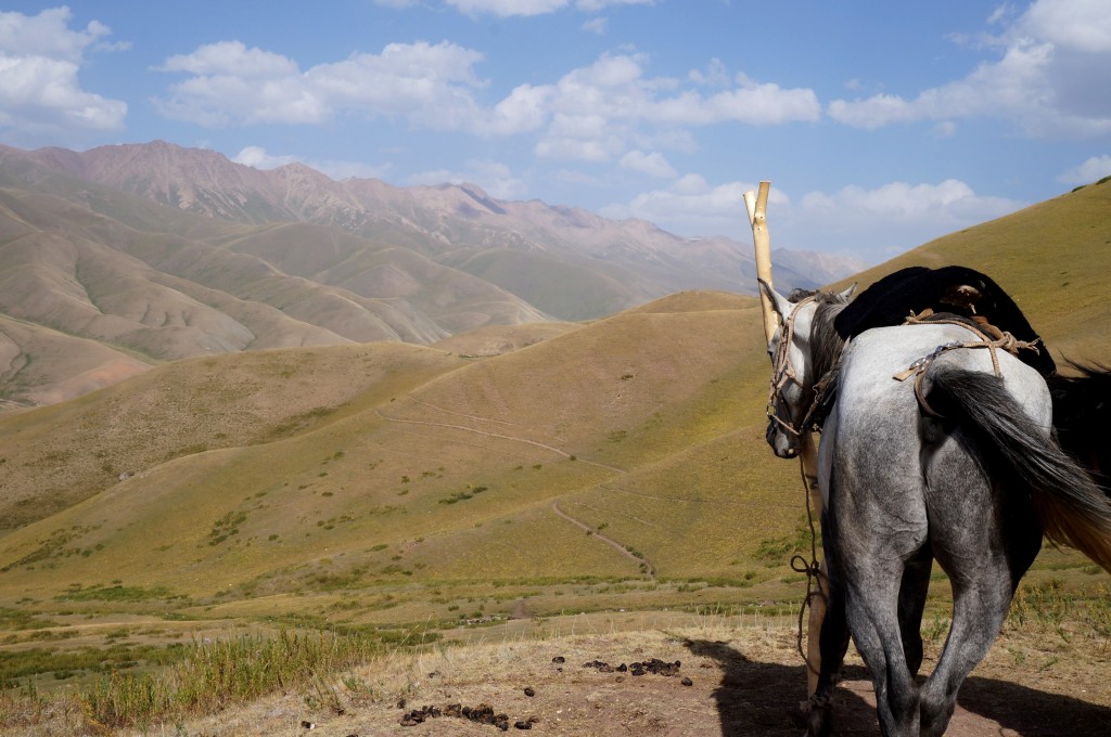 Kirghizistan cheval