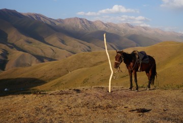 Trek a cheval