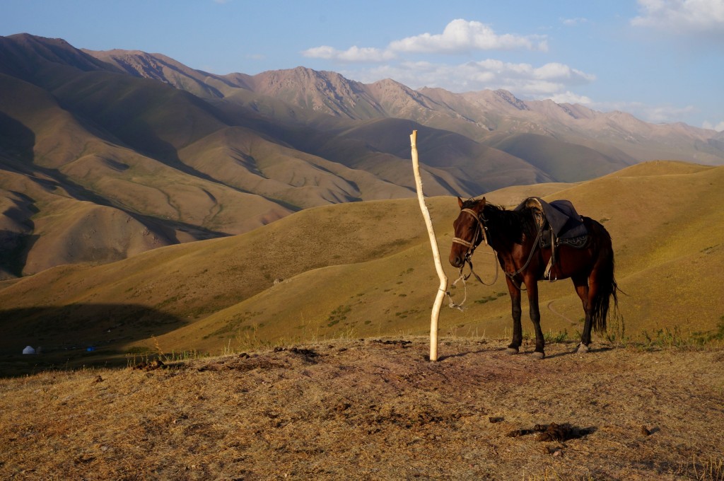 Kirghizistan cheval