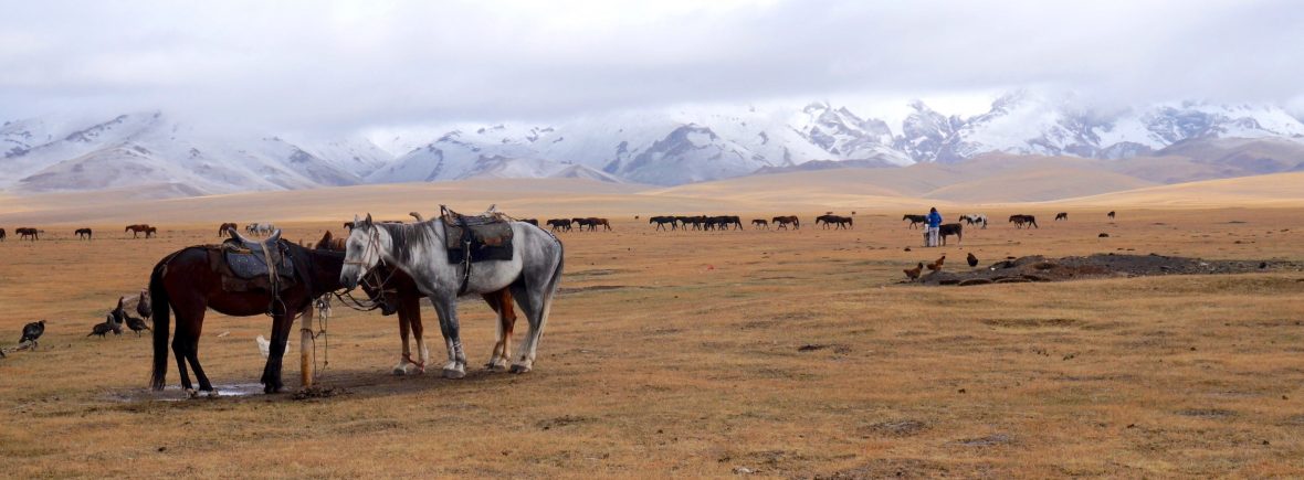 kirghizistan asie centrale Lac song kol