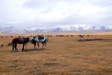 kirghizistan asie centrale Lac song kol