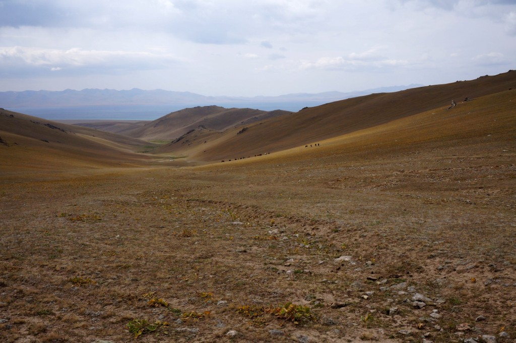 Kirghizistan trek cheval