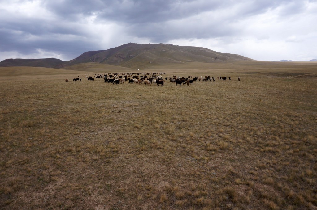 Kirghizistan trek cheval