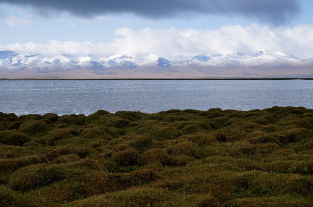 lac Song Köl kirghizistan