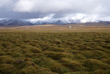 lac Song Köl kirghizistan