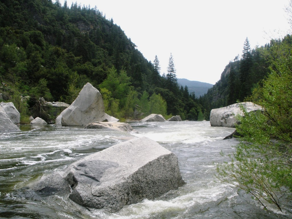 Parc de Yosémite