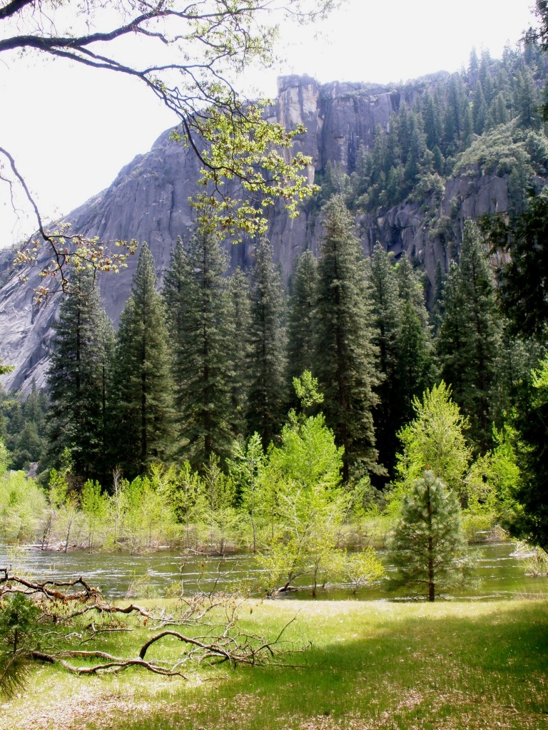 Parc de Yosémite