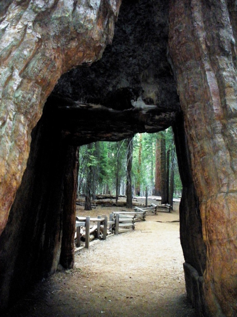 Séquoia Park