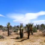 La vallée de la mort (death valley)