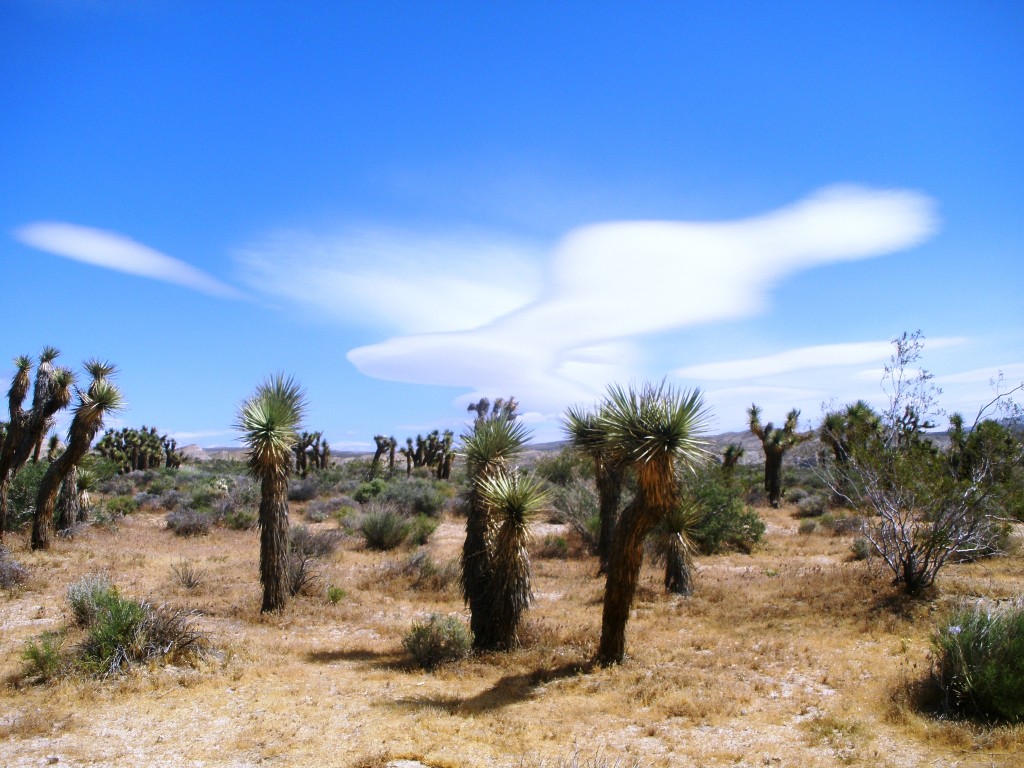 Death Valley