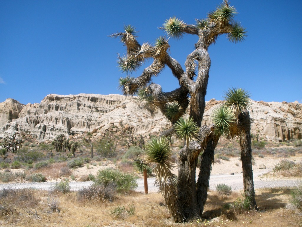 Death Valley