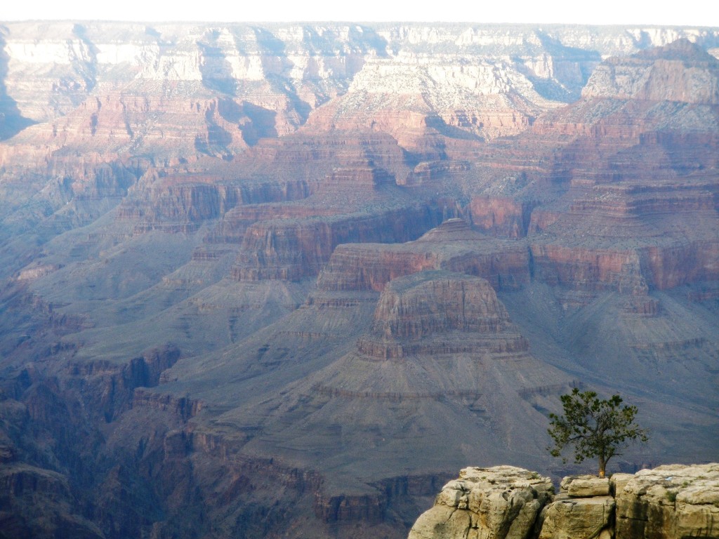 Grand Canyon