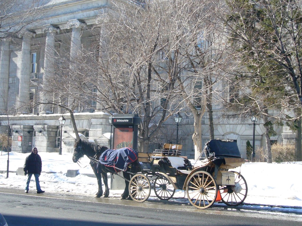 Calèche devant Musée de la banque de Montréal