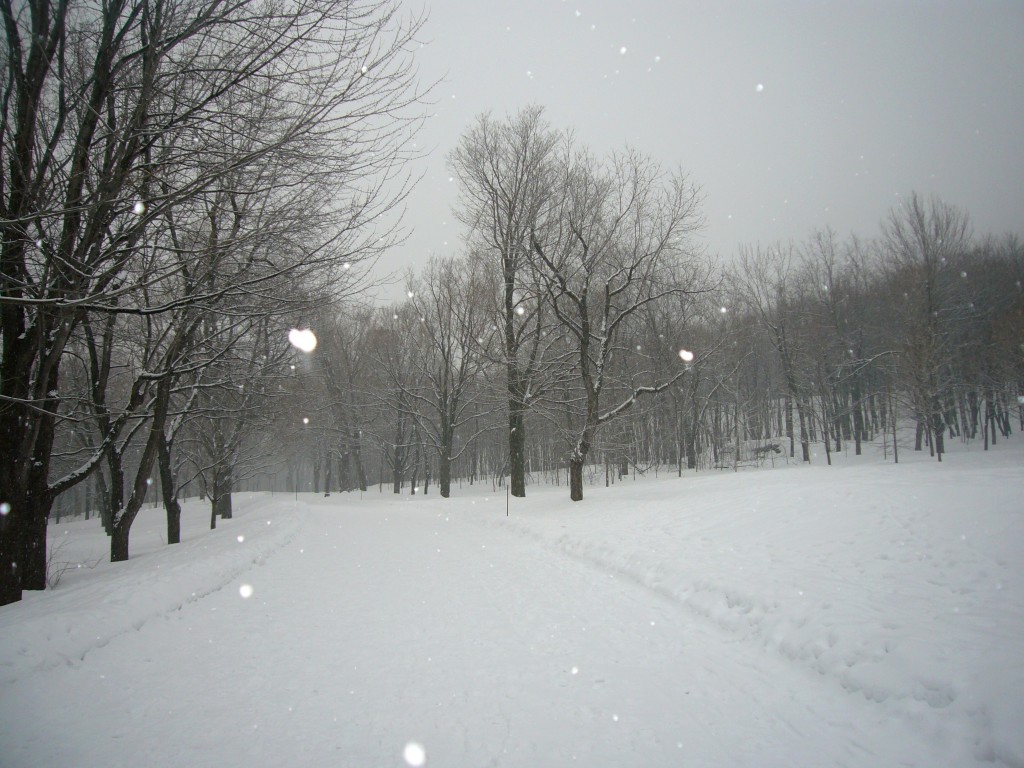 Mont Royal Montréal