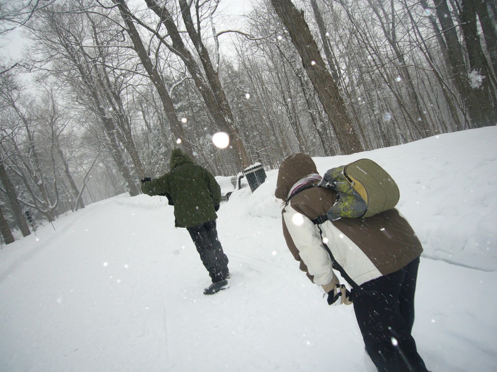 Mont Royal bataille de neige Montréal