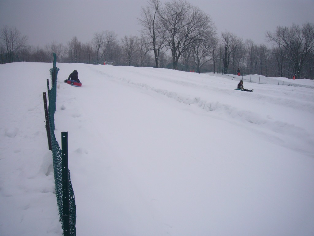 Mont Royal luge Montréal