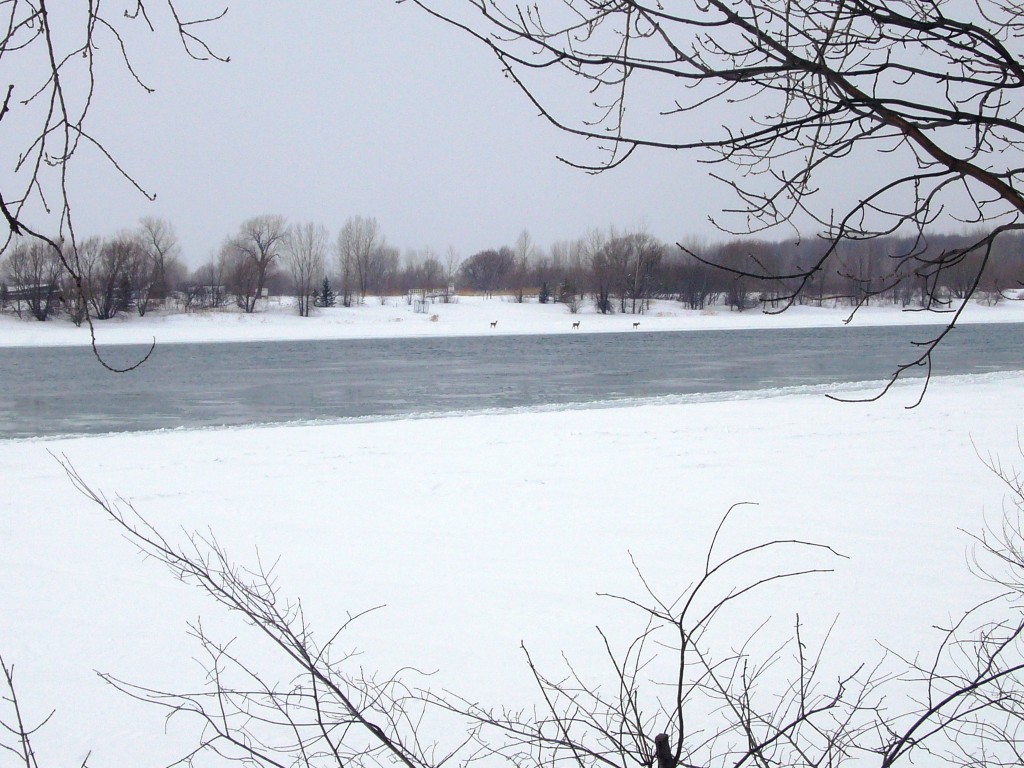 Boucherville Montréal