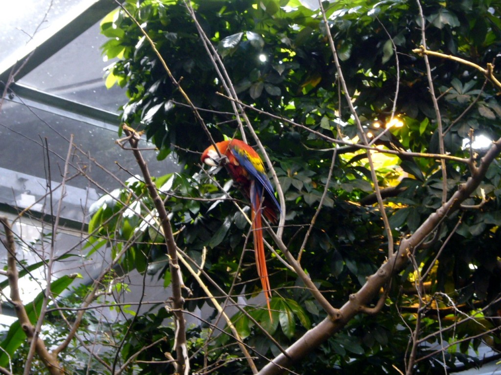 Biodôme de Montréal