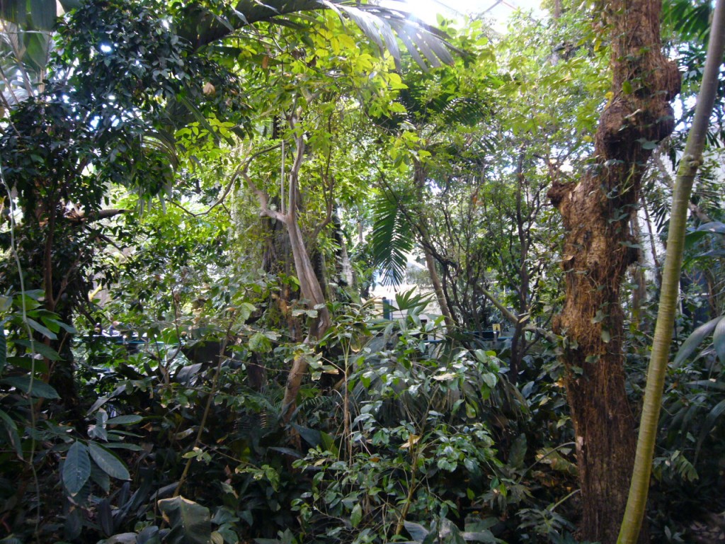 Biodôme de Montréal