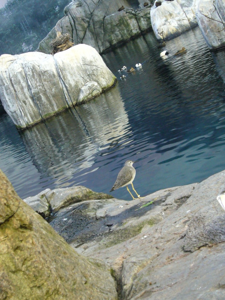 Biodôme de Montréal