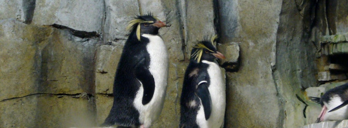 Biodôme de Montréal