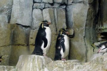 Biodôme de Montréal