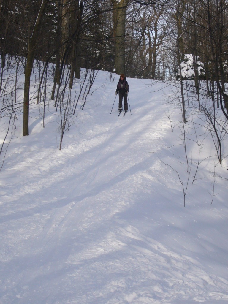 Mont Royal ski de fond Montréal