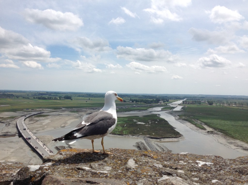 Mont-Saint-Michel