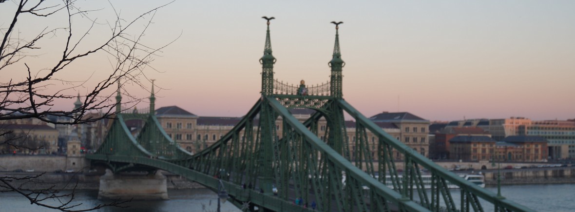 Pont de la liberté Budapest
