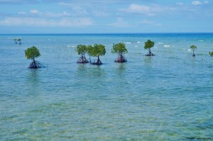 tulapos sanctuaire philippines siquijor