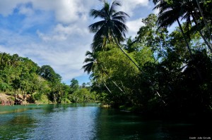 croisiere sur la rivière loboc bohol philippines