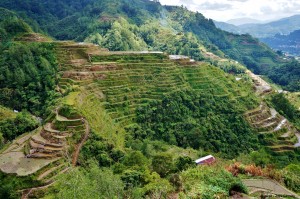 Rizières Banaue Philippines