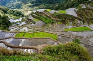 Rizières Banaue Philippines