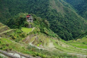 Rizières Batad Philippines