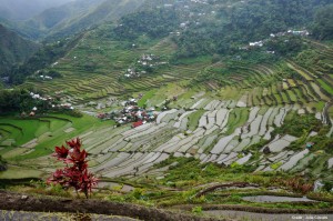 Rizières Batad Philippines