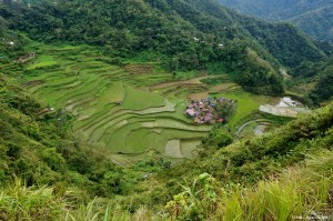 Rizières Bangaan Philippines