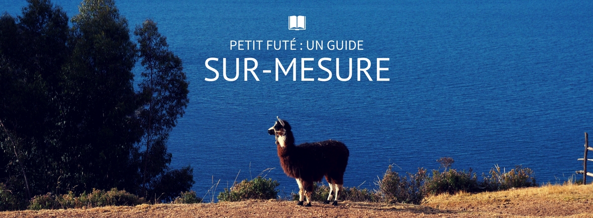 guide sur mesure petit futé