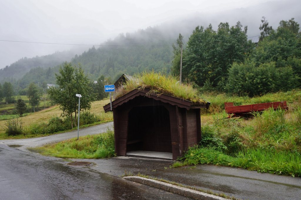 norvege fjords