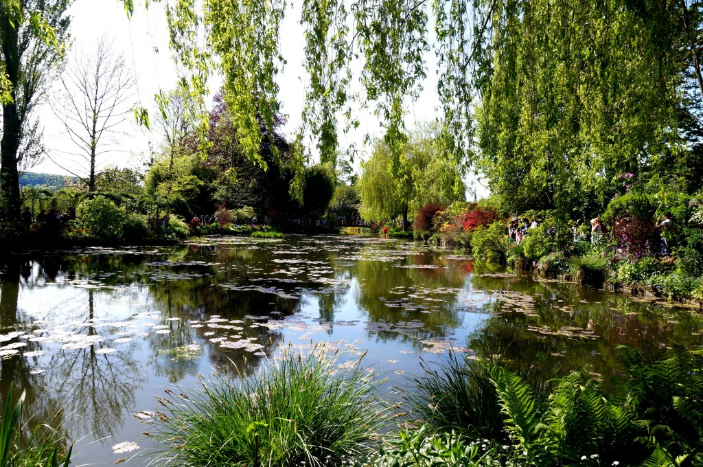 jardin d'eau fondation monet giverny